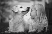 Pet Cremations Mississauga