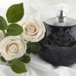 How to Treat Cremated Remains l Mississauga