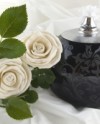 How to Treat Cremated Remains l Mississauga