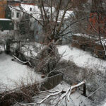 dealing with death during holiday