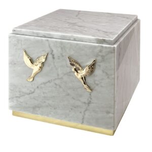 Amica Companion