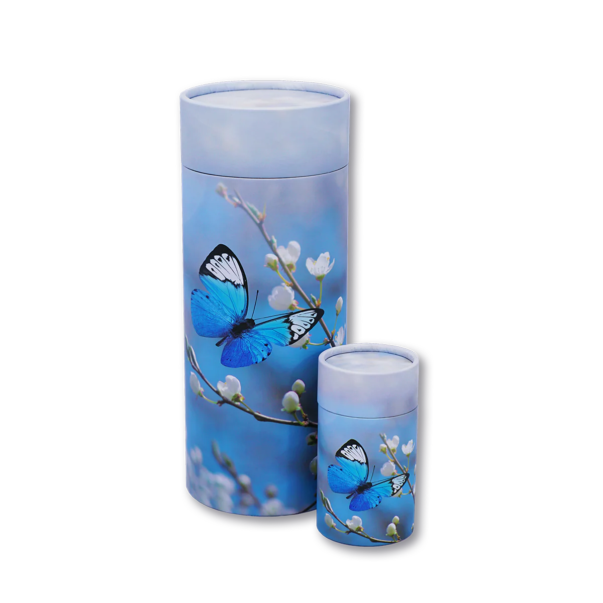Butterfly Blossom