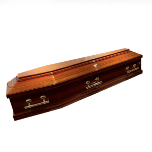 European Robbin Nest Coffin
