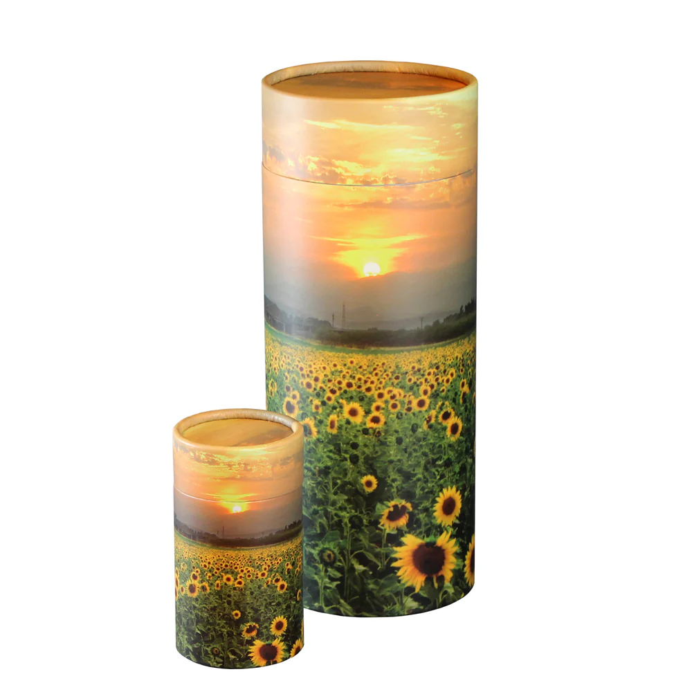 Sunflower Fields